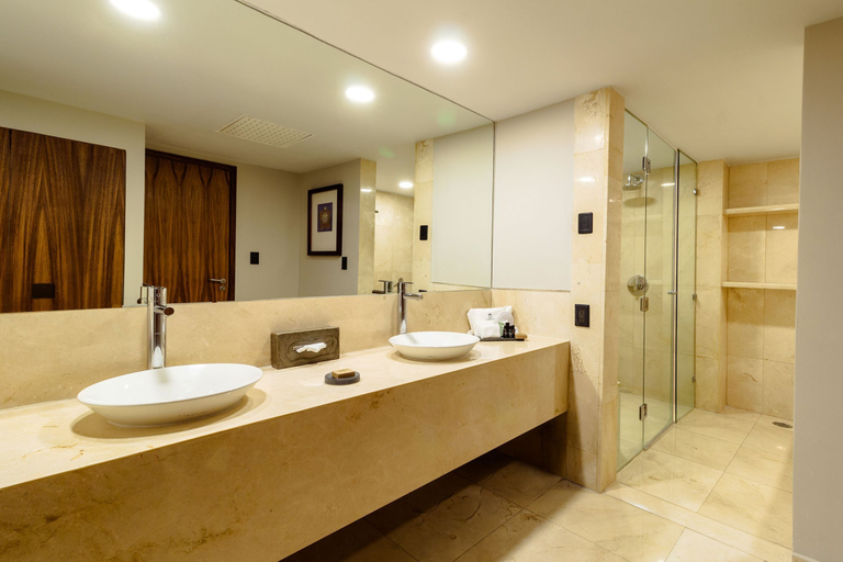 Bathroom 5, Camino Real Aeropuerto, Mexico City