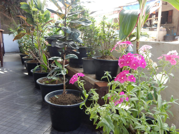 Public Area 3, Vang Vieng Camellia Hotel, Vangvieng