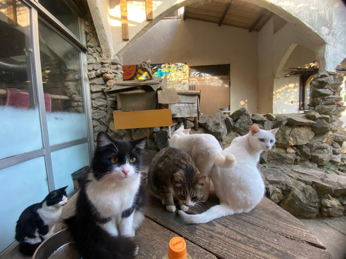 Others 4, Muumin Farm, Nakijin