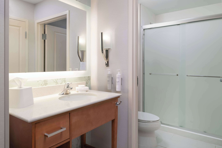 Bathroom 4, Homewood Suites by Hilton Gateway Hills Nashua, Hillsborough