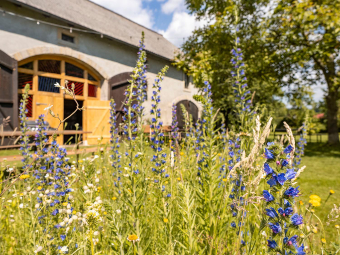 Others 5, Hinterland Hostel, Sächsische Schweiz-Osterzgebirge