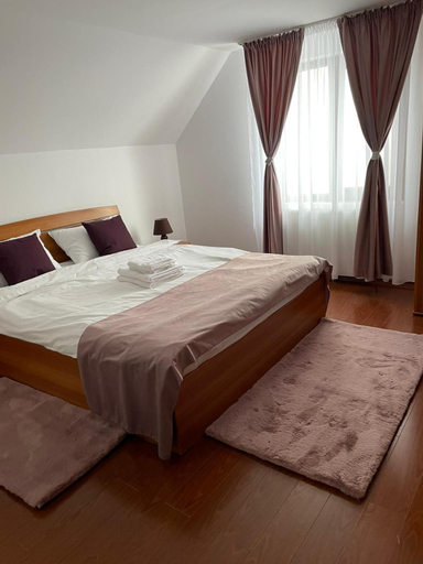 Others 3, Casa Hoinarilor, Bran