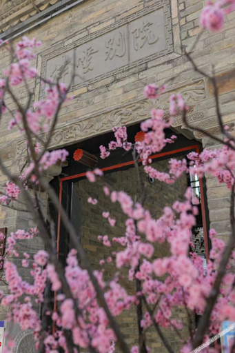 Others 5, Blossom Manoir Xuzhou, Xuzhou