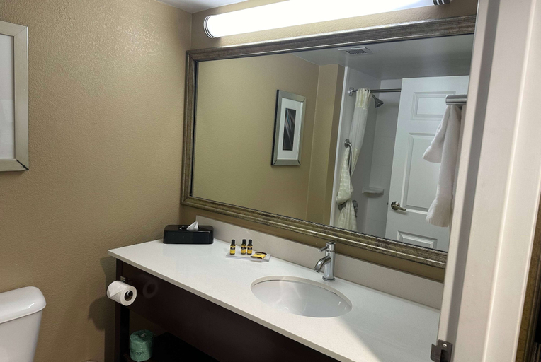 Bathroom 5, Wingate by Wyndham Harrisburg Near Hershey, Dauphin