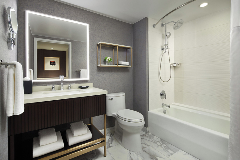 Bathroom 5, Grand Hyatt Washington, Washington D.C.