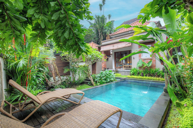 Swimming Pool 10