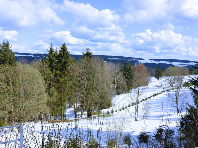 Others 5, Ski- und Wanderurlaub im Wald Ferienhaus Adlerblick, Hildburghausen