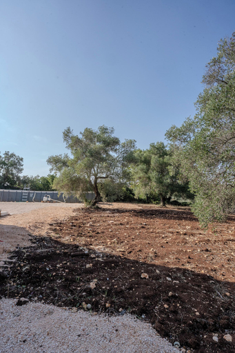 Others 4, Villa tra gli Ulivi - Ostuni, Brindisi