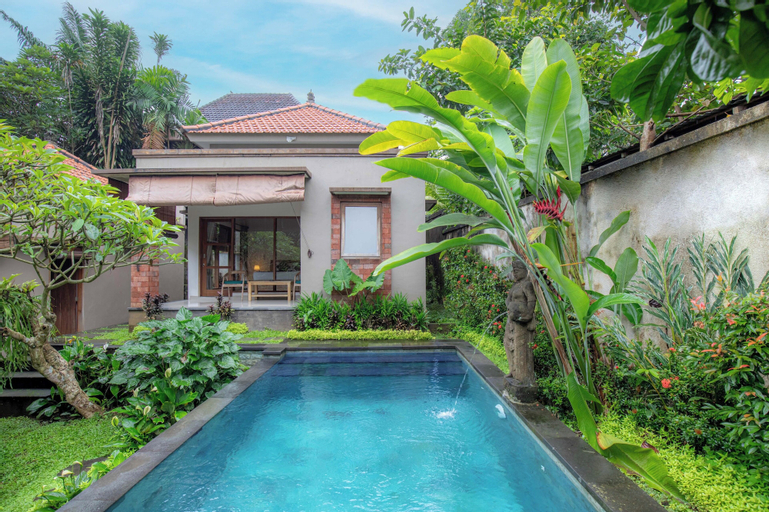 Swimming Pool 15