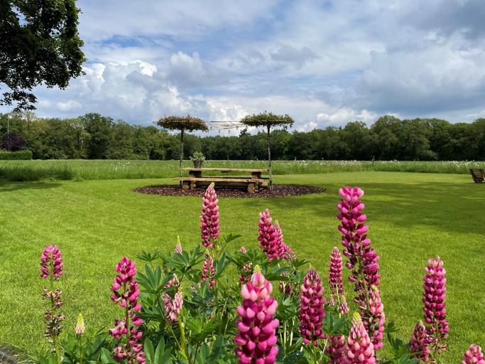 Others 4, Domestico Bed & Breakfast, Reusel-De Mierden