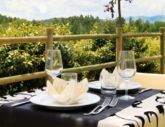 Interior detail, Apartment in Tuscany Near Chianti Vineyards, Florence