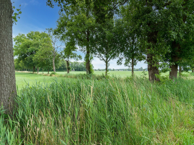 View from property 3, Cosy Holiday Home Near Den Ham With Garden, Twenterand