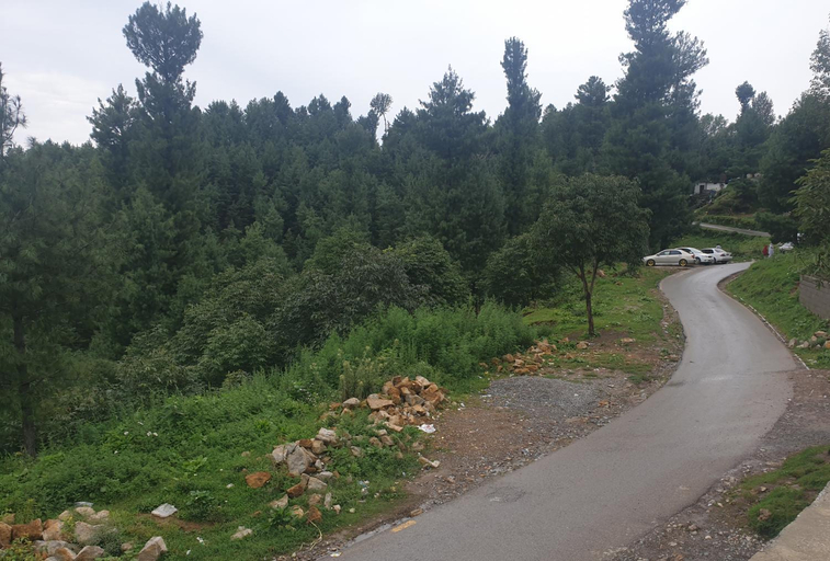 Others 5, Mashal Palace Apartment's, Hazara