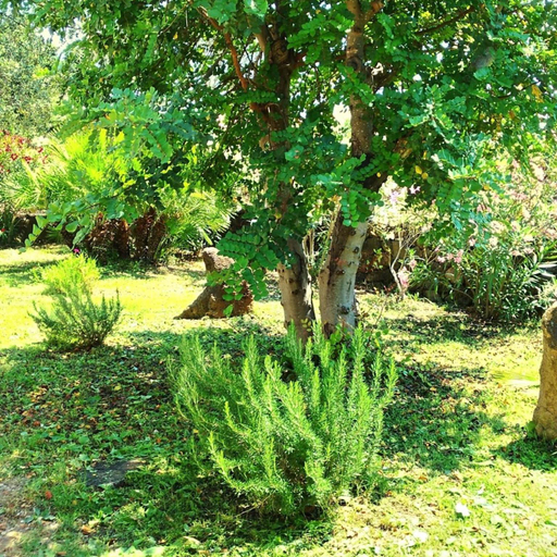 Others 5, Orosei RE -Villa Osala 800 meters from the sea (B)-Villa Osala (B), Nuoro