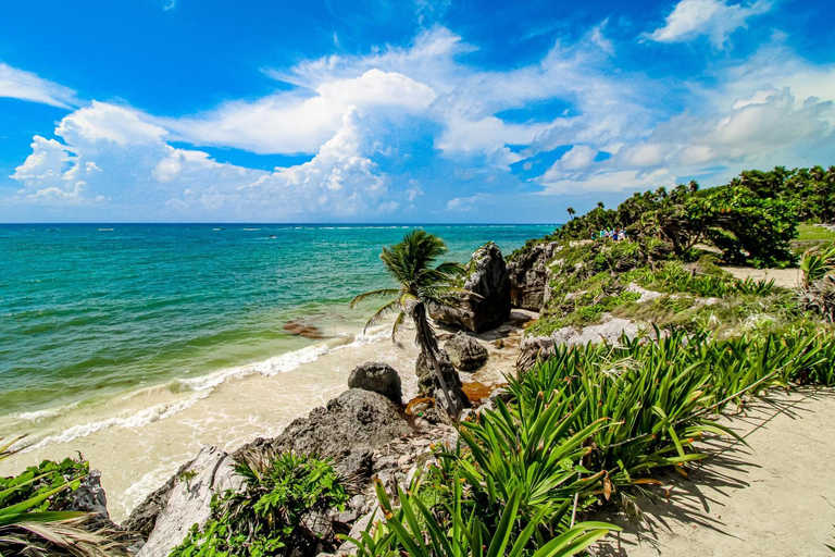 Others 4, La Selva 303 Sirenis Studio, Cozumel