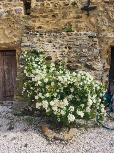 Others 5, bastide de la madeleine, Gard