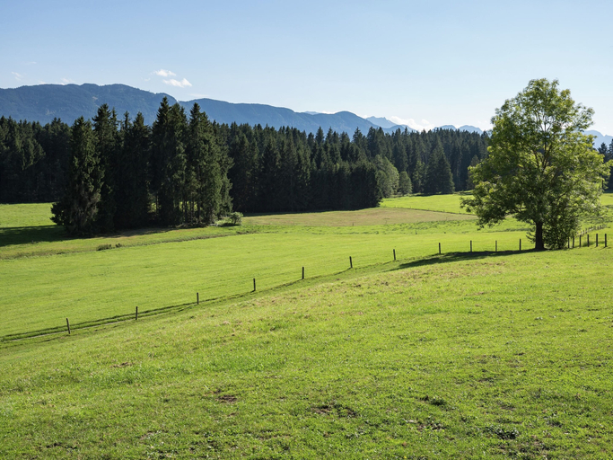 Others 5, Peaceful Apartment in Reitersau Bavaria near Ski Area, Weilheim-Schongau
