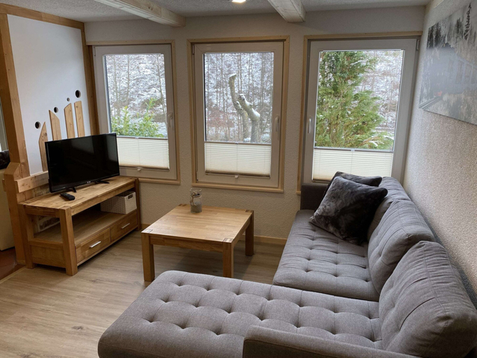 Others 5, Ferienhaus im Harz Nahe Skipisten, Harz