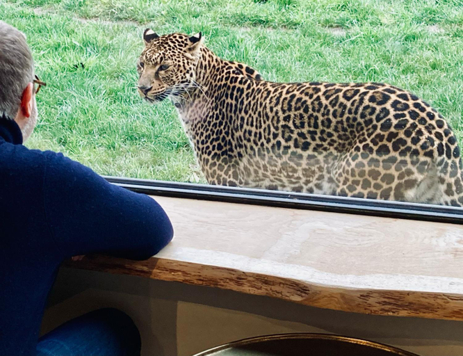 Lodges insolites chez RDV en Terre Animale, Loiret