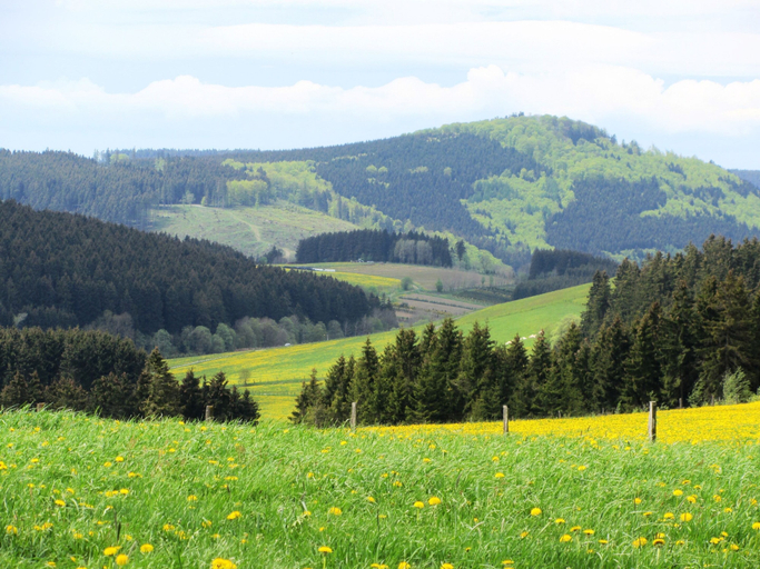 Others 4, Serene Villa in Kstelberg near Lake & Watersports, Hochsauerlandkreis