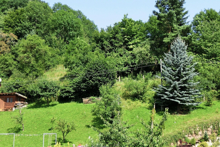 Others 4, Ruhiges Ferienhaus in Floh-seligenthal, Schmalkalden-Meiningen