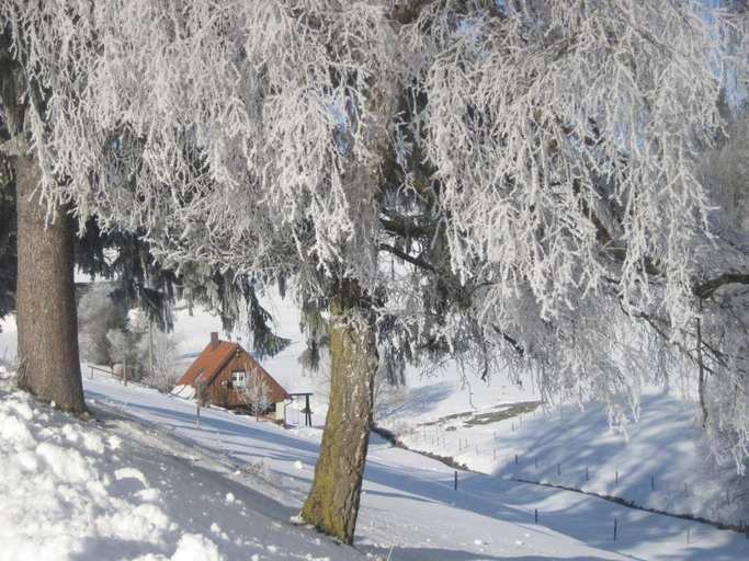 Others 5, Ferienhaus in Brigach, Schwarzwald-Baar-Kreis