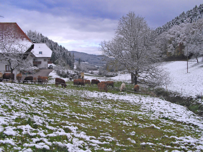 Exterior & Views 5, Comfy Apartment in Salmensbach near River, Ortenaukreis