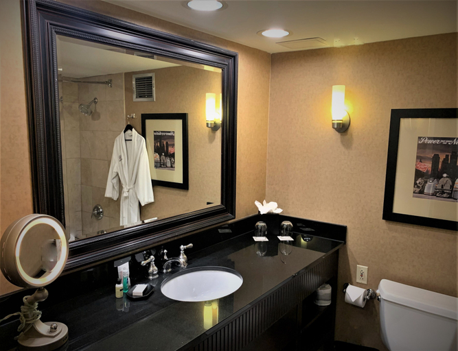 Bathroom 4, Sheraton Lisle Naperville Hotel, Dupage