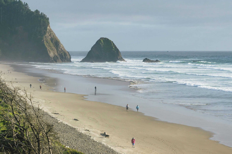 Others 5, Arch Cape Escape by Avantstay Sensational Clift Top Home w/ Pacific Ocean Views, Clatsop