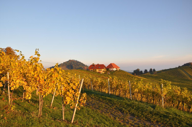 Others 2, Weingut Kogl, Leibnitz