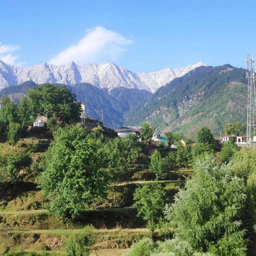 Others 5, Anchal House, Kangra