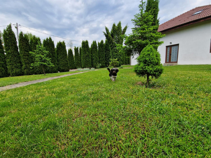 Others 5, Pensiunea Bradu, Izvoru