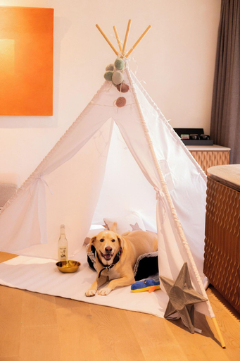 Bedroom 3, Numu Boutique Hotel, The Unbound Collection, Allende