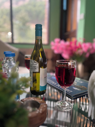 Food & Drinks 5, Dream Valley Kasol, Kullu