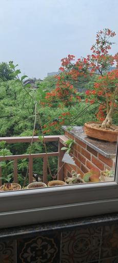 Others 5, Gulmohar, Gautam Buddha Nagar