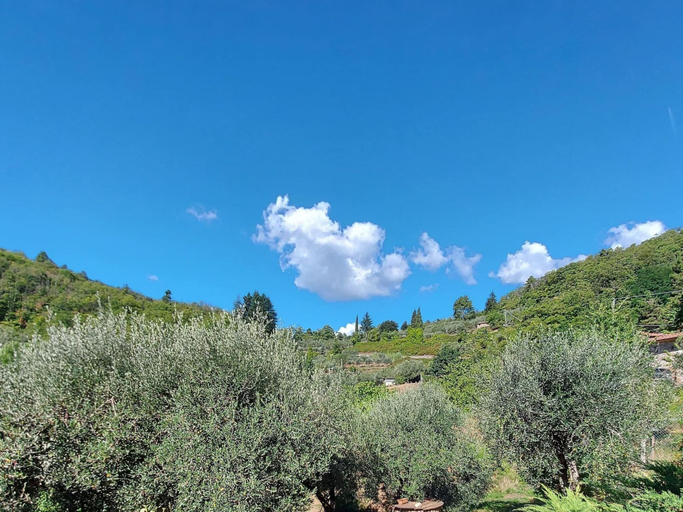 View from property 2, Holiday Home in Tuscany Near Lucca, Lucca