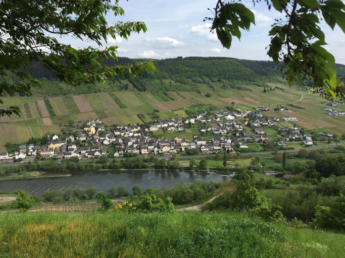 Others 5, Malerisches Ferienhaus in Reil, Bernkastel-Wittlich