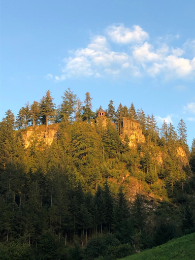 Others 3, Forest Apartment-Forest Escape Menzenschwand, Waldshut