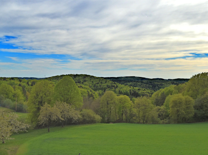 Others 5, Gartenwohnung Gossweinstein, Forchheim
