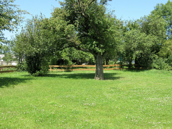 Others 5, Large Group House, Beautifully Located in Eifel, Eifelkreis Bitburg-Prüm