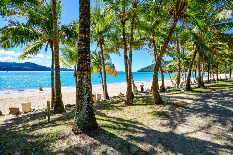 Beach, The Elite F208 by HamoRent on Hamilton Island, Whitsunday