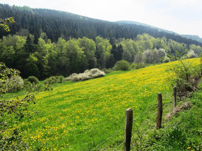 Others 5, Chic Holiday Home in Medebach Germany near Ski Area, Hochsauerlandkreis