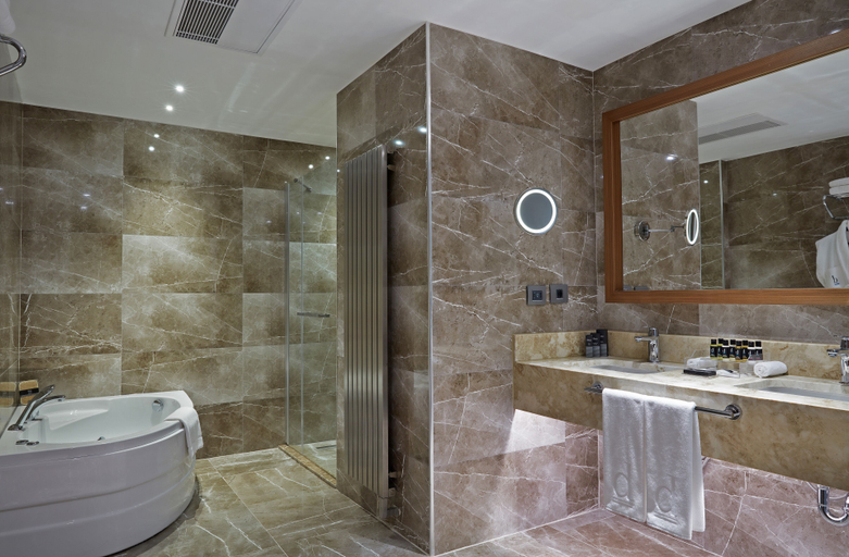 Bathroom, Dedeman Kayseri, Hacılar