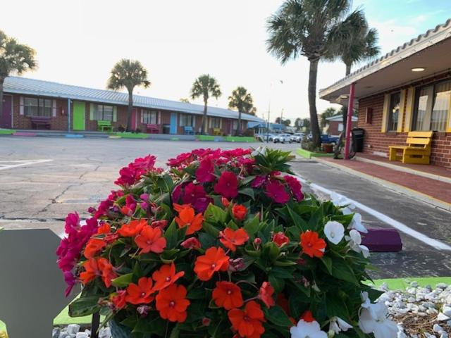 Others 5, Seahorse Inn, Volusia