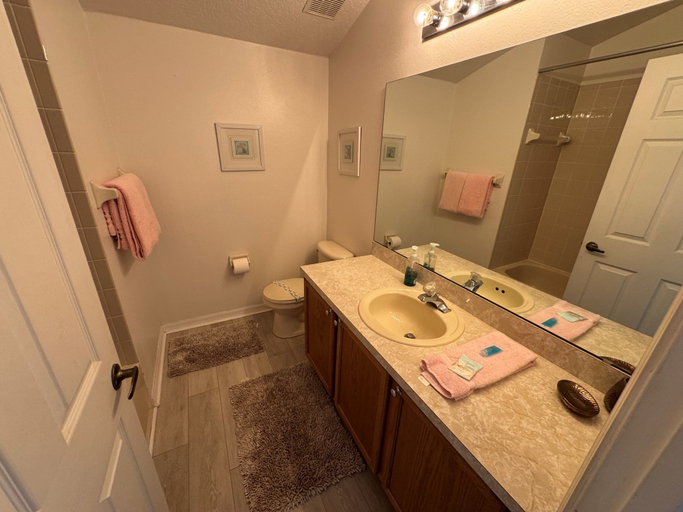 Bathroom 4, Scott Disney Villa, Polk