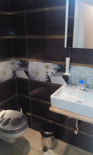 Bathroom 2, Gasthof zum Nibelungenbauer, Melk