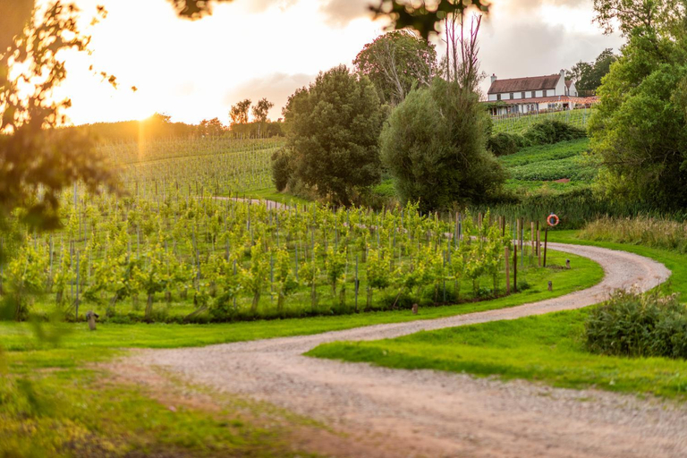 Others 5, Three Choirs Vineyards, Gloucestershire