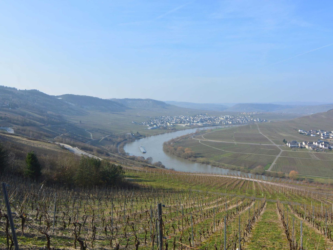 Others 4, Spacious Holiday Home in Haserich near Lake, Cochem-Zell