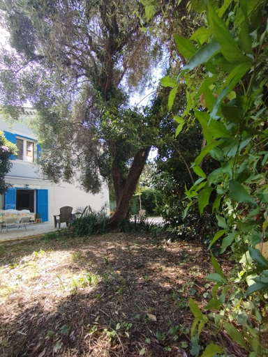 Others 2, Maison d'Hotes Floribel, Alpes-Maritimes