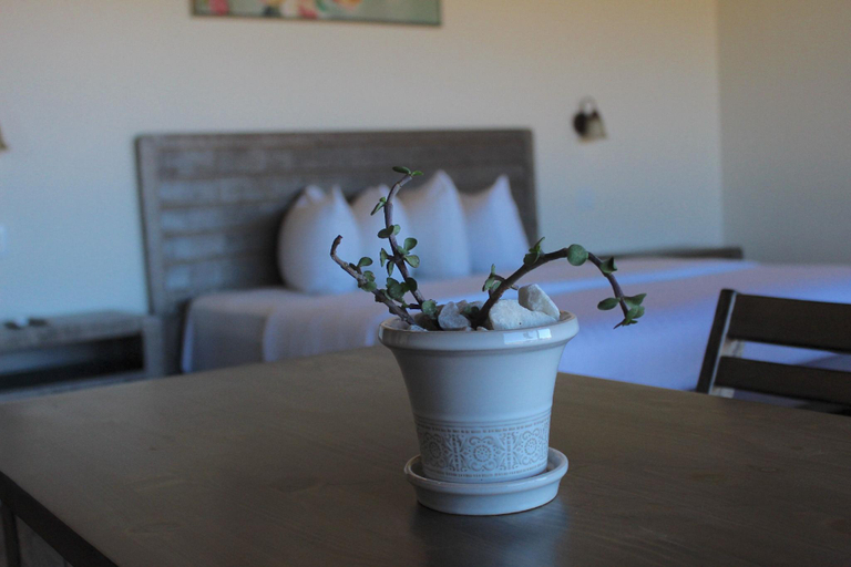 Dining Room 13